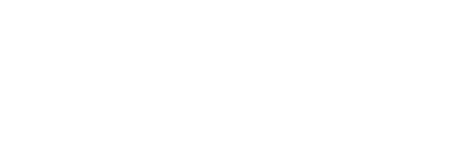Dubik Training